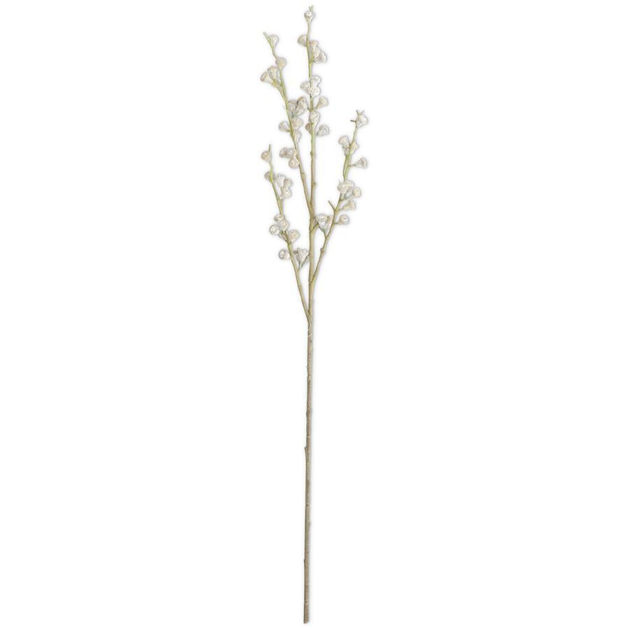 35 Inch Powdered Tan Eucalyptus Pod Stem