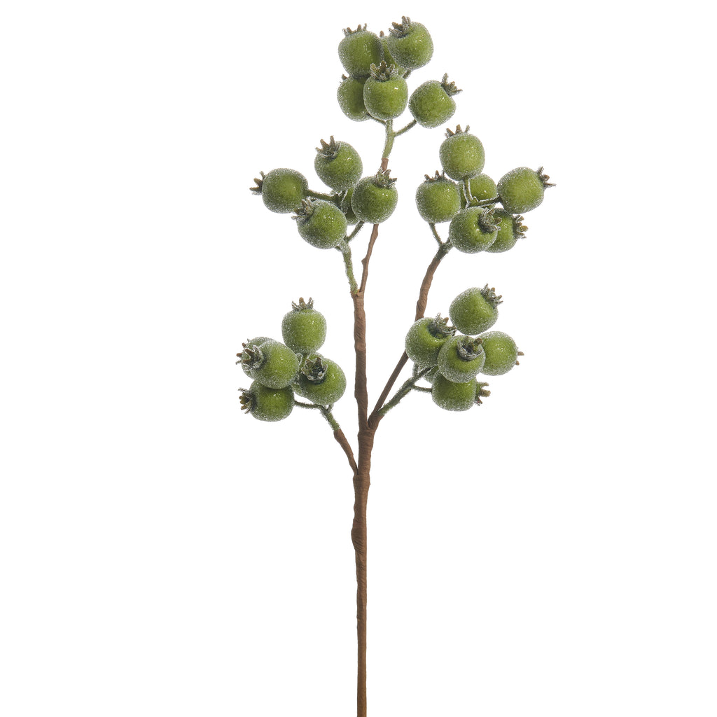 21" Iced Green Berry Spray