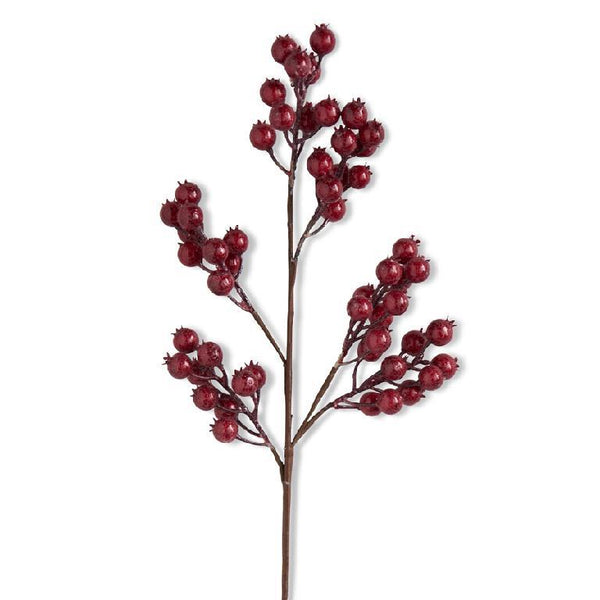 27 Inch Red Crackle Glitter Rosehip Stem