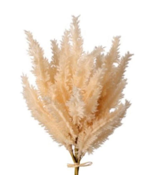 Faux Flocked Pampas Grass Bundle- Beige